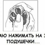 Эрогенные зоны