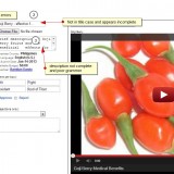 Ad Review Corrections
