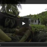 crab steals GoPro camera