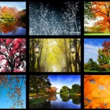 Philippe Sainte-Laudy