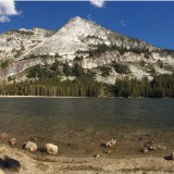 awesome smartphone photos