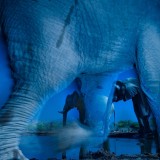 2013 winners\' gallery