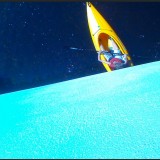 average joe photo show