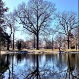 average joe photo show