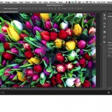 photoshop colors