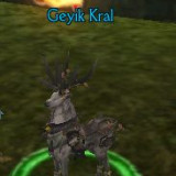 hazine görevi nasıl yapılır araf online görev karakterlet charlar yaratık monster kutu item