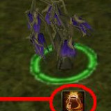 hazine görevi nasıl yapılır araf online görev karakterlet charlar yaratık monster kutu item