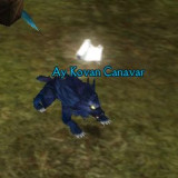 hazine görevi nasıl yapılır araf online görev karakterlet charlar yaratık monster kutu item