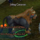 hazine görevi nasıl yapılır araf online görev karakterlet charlar yaratık monster kutu item