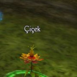 hazine görevi nasıl yapılır araf online görev karakterlet charlar yaratık monster kutu item