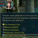 onlineyasa.com buz mihrabi taşı taş tas görevi görev nasıl yapılır nasıl araf online onlne görev anlatım resimli