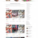 ga dong tao gia phuc