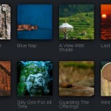 JulianRay Photography