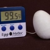 ga dong tao HUNG YEN