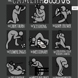 camera-sutra T-shirt