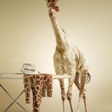 undress a giraffe in photoshop
