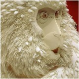 amazing paper sculptures