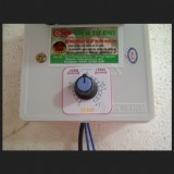 ga dong tao HUNG YEN